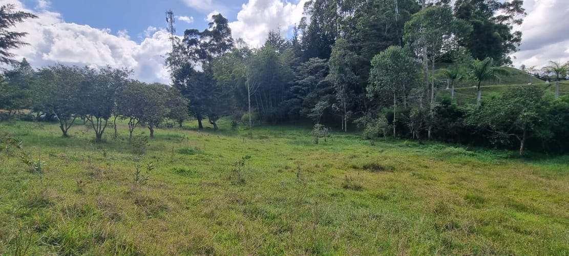 Lote en venta en El Porvenir, Rionegro, 15119 m² · foto 11 de 15