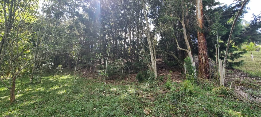 Lote en venta en El Porvenir, Rionegro, 15119 m² · foto 12 de 15