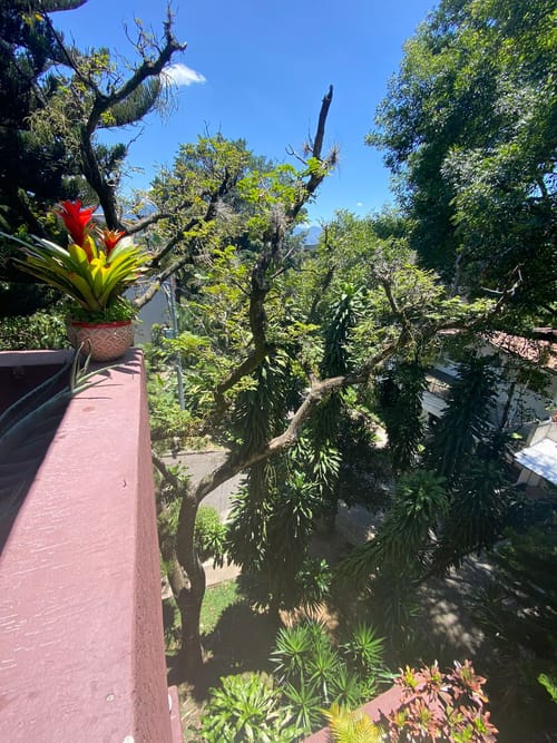 Apartamento de 3 alcobas en venta en La Candelaria, Medellín, 128 m² · foto 11 de 21