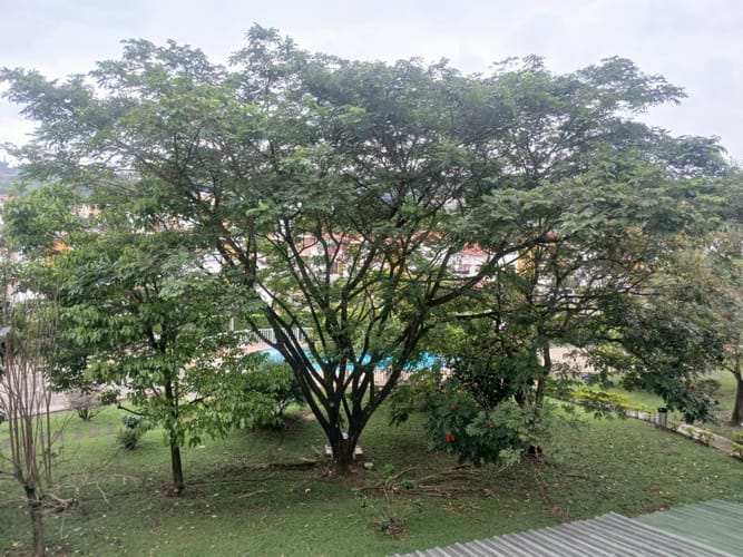 Apartamento de 2 alcobas en arriendo en Paseo De La Castellana, Pereira, 40 m² · foto 8 de 20