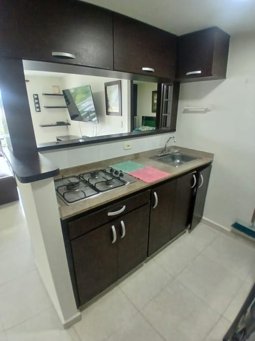 Apartamento de 2 alcobas en arriendo en Paseo De La Castellana, Pereira, 40 m² · foto 12 de 20