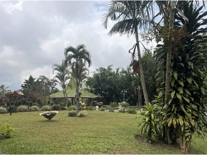 Lote en venta en Los Balsos, Medellín, 1866 m² · foto 5 de 12