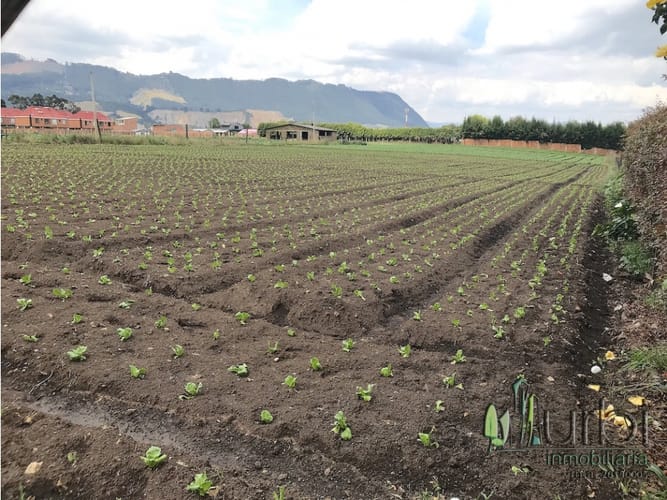 Lote en venta en Calahorra, Cajicá, 12997 m² · foto 2 de 10