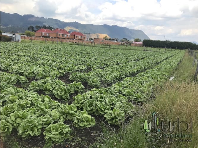 Lote en venta en Calahorra, Cajicá, 12997 m² · foto 3 de 10