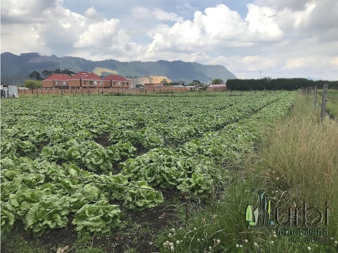 Lote en venta en Calahorra, Cajicá, 12997 m² · foto 4 de 10