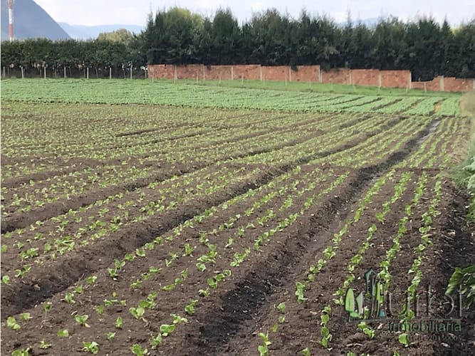 Lote en venta en Calahorra, Cajicá, 12997 m² · foto 5 de 10