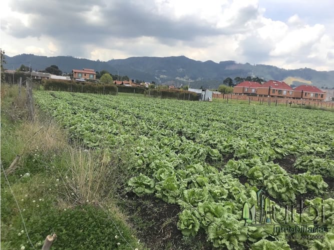 Lote en venta en Calahorra, Cajicá, 12997 m² · foto 6 de 10