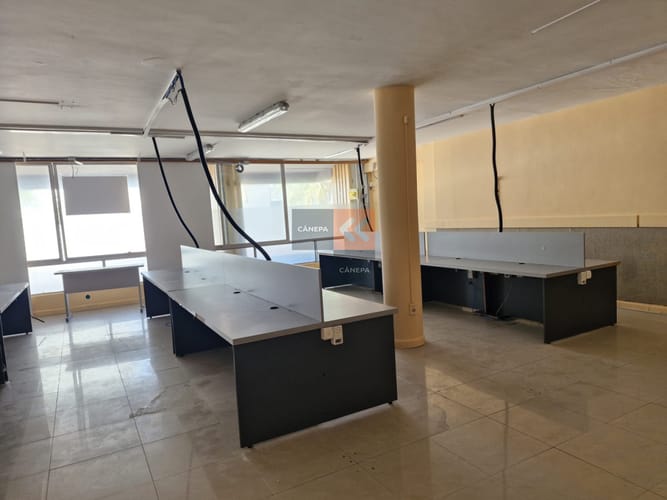 Local en alquiler anual y en venta · Foto 2