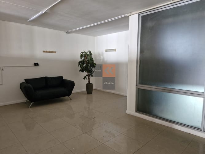Local en alquiler anual y en venta · Foto 3