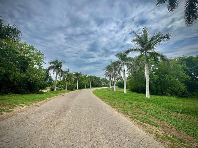 Lote en venta en Cr. Baru, Cartagena, 1300 m² · foto 8 de 19