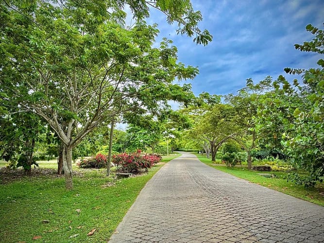 Lote en venta en Cr. Baru, Cartagena, 1300 m² · foto 5 de 19