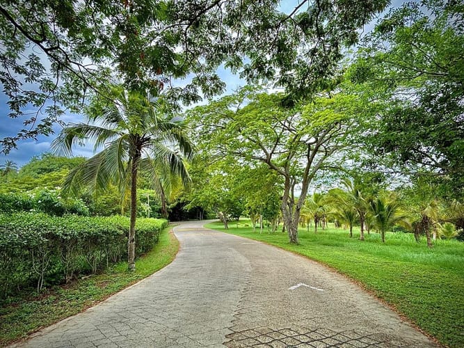 Lote en venta en Cr. Baru, Cartagena, 1300 m² · foto 4 de 19