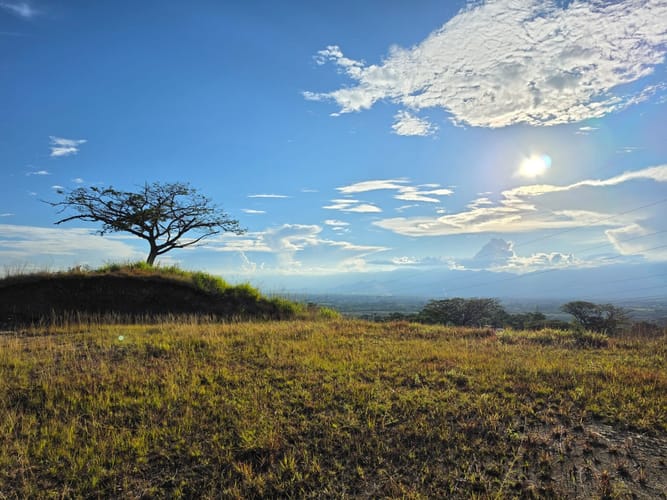 Lote en venta en Cerritos, Pereira, 2300 m² · foto 5 de 7