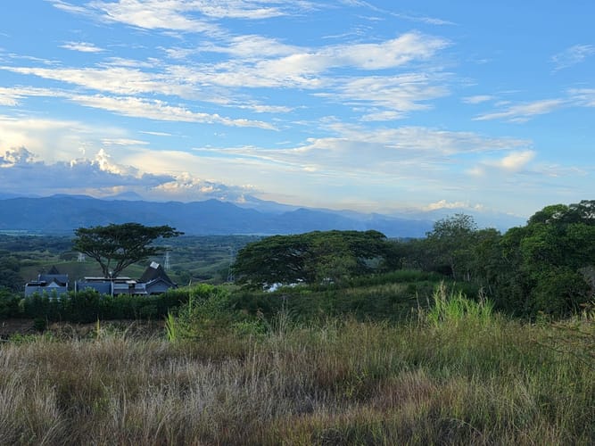 Lote en venta en Cerritos, Pereira, 2300 m² · foto 4 de 7
