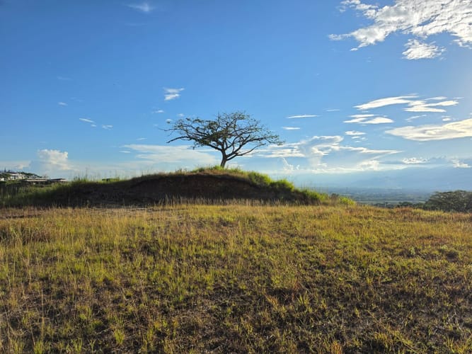 Lote en venta en Cerritos, Pereira, 2300 m² · foto 6 de 7