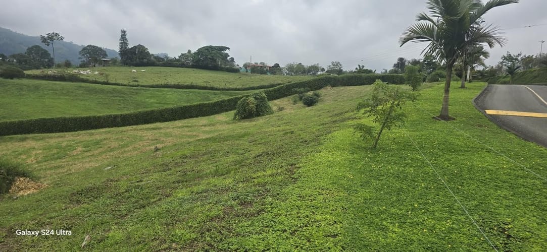 Lote en venta en Tribunas Corcega, Pereira, 10018 m² · foto 12 de 13