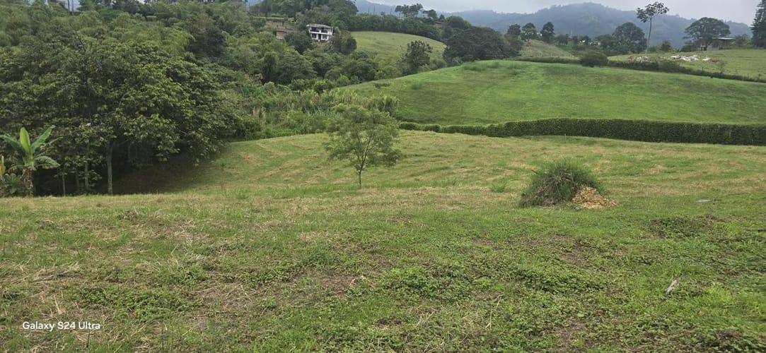 Lote en venta en Tribunas Corcega, Pereira, 10018 m² · foto 8 de 13