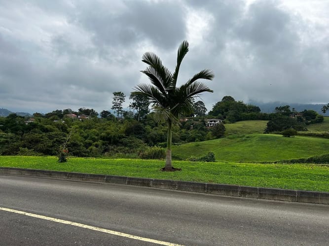 Lote en venta en Tribunas Corcega, Pereira, 10018 m² · foto 6 de 13