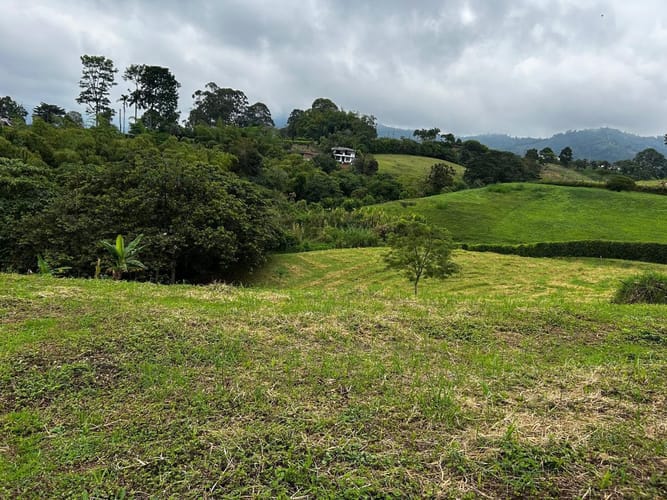 Lote en venta en Tribunas Corcega, Pereira, 10018 m² · foto 9 de 13