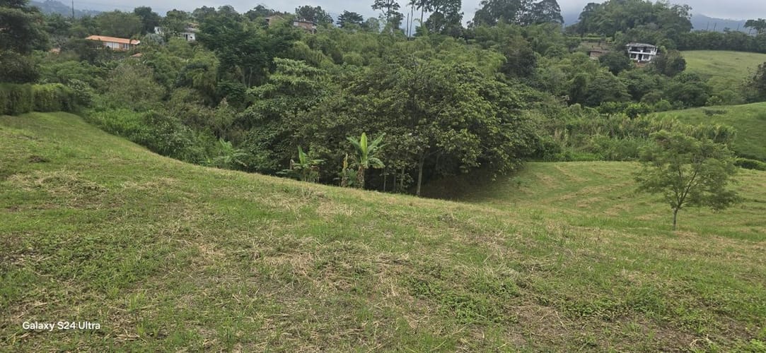 Lote en venta en Tribunas Corcega, Pereira, 10018 m² · foto 4 de 13