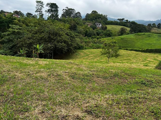 Lote en venta en Tribunas Corcega, Pereira, 10018 m² · foto 5 de 13