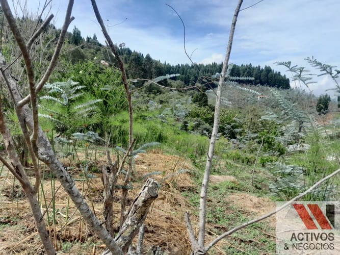 Lote en venta en San Cristobal, Medellín, 2000 m² · foto 8 de 24