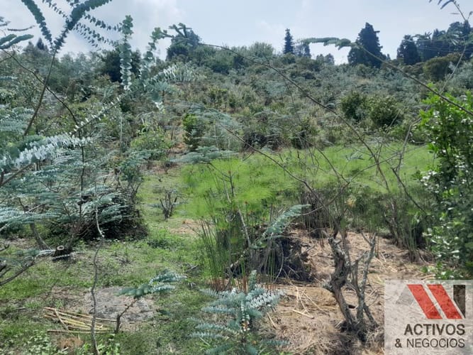 Lote en venta en San Cristobal, Medellín, 2000 m² · foto 12 de 24