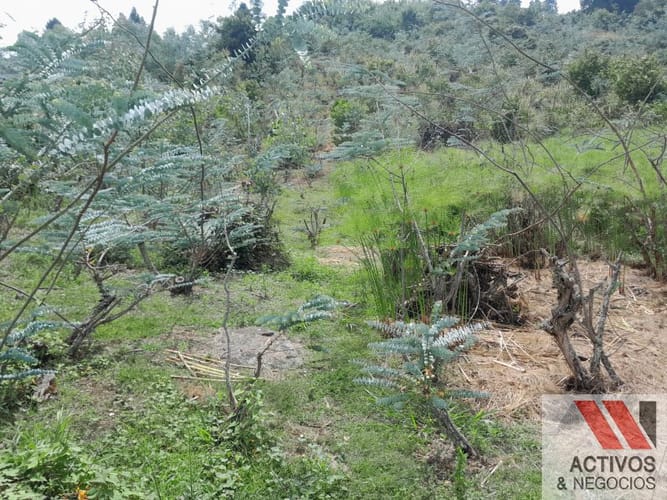 Lote en venta en San Cristobal, Medellín, 2000 m² · foto 14 de 24