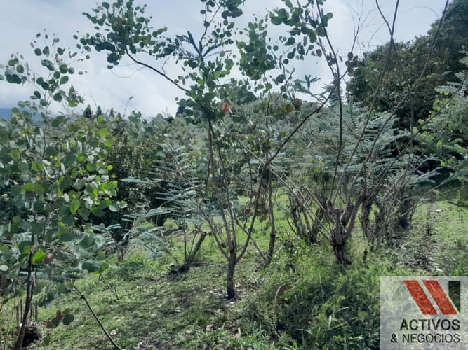 Lote en venta en San Cristobal, Medellín, 2000 m² · foto 20 de 24