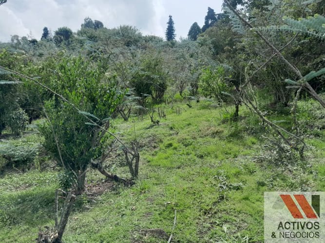 Lote en venta en San Cristobal, Medellín, 2000 m² · foto 21 de 24