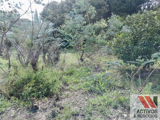 Lote en venta en San Cristobal, Medellín, 2000 m² · foto 23 de 24