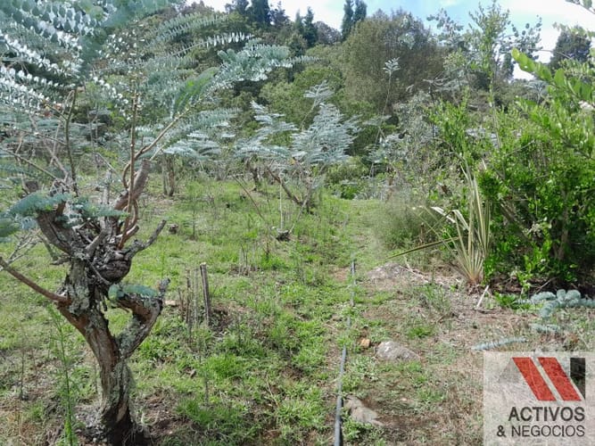 Lote en venta en San Cristobal, Medellín, 2000 m² · foto 24 de 24