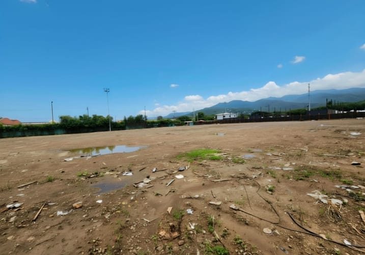 Lote en arriendo en Alfonso Bonilla Aragon, Cali, 8000 m² · foto 11 de 14