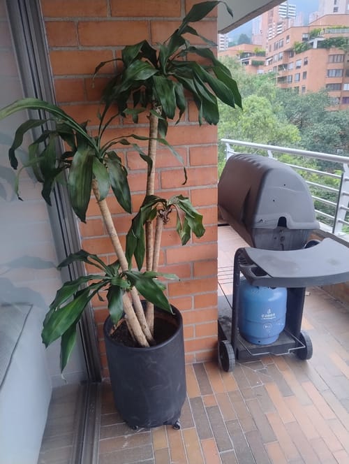 Apartaestudio en arriendo en El Poblado, Medellín, 60 m² · foto 17 de 19