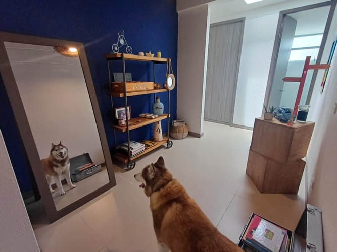 Casa de 2 alcobas en venta en Los Salados, El Retiro, 200 m² · foto 9 de 24