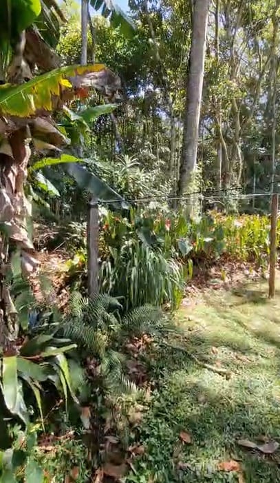 Finca en venta en Llano Grande, Rionegro, 380 m² · foto 7 de 7