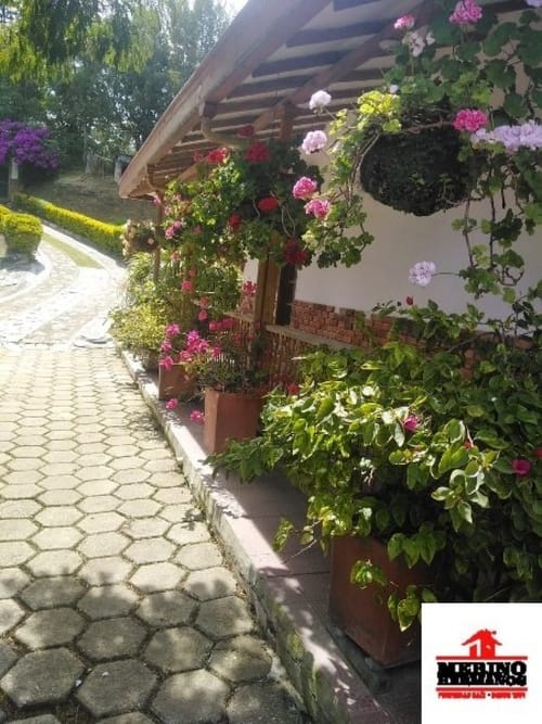 Finca en venta en Guarne, 501 m² · foto 6 de 11