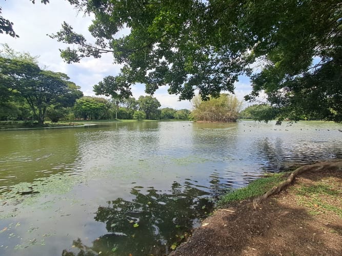Lote en venta en La Morada, Jamundí, 3576 m² · foto 2 de 8