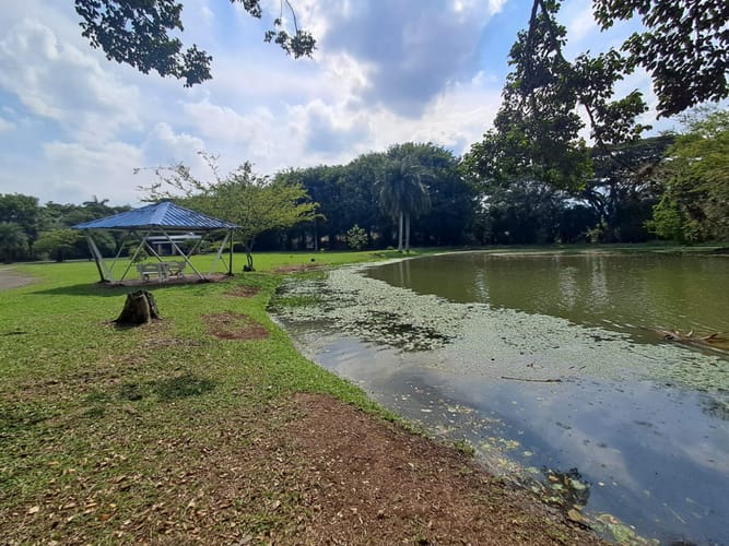 Lote en venta en La Morada, Jamundí, 3576 m² · foto 8 de 8