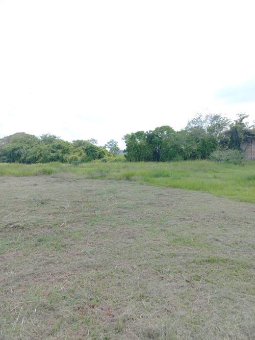 Lote en venta en Buenos Aires, Ibagué, 30031 m² · foto 18 de 20