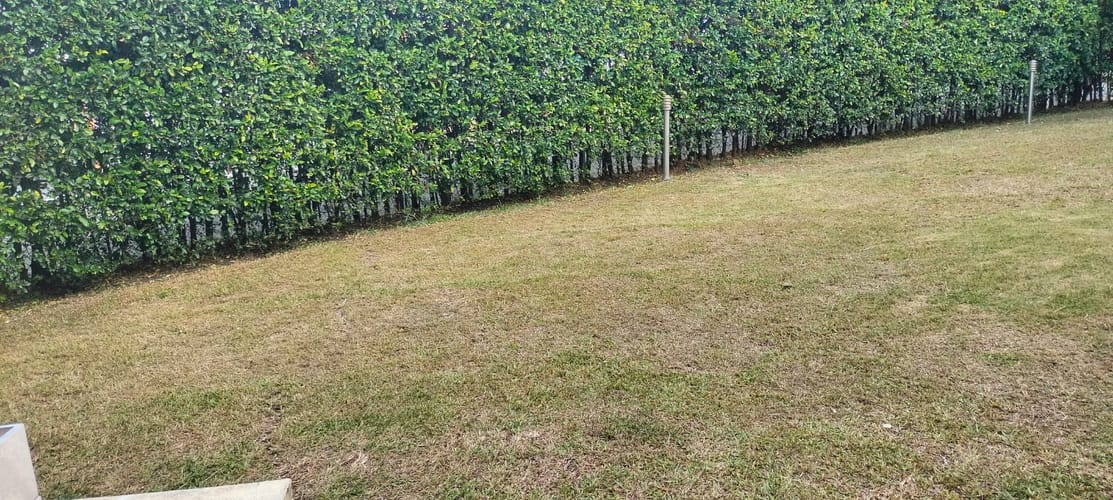 Casa de 3 alcobas en venta en Ciudad Jardin, Cali, 309 m² · foto 8 de 24