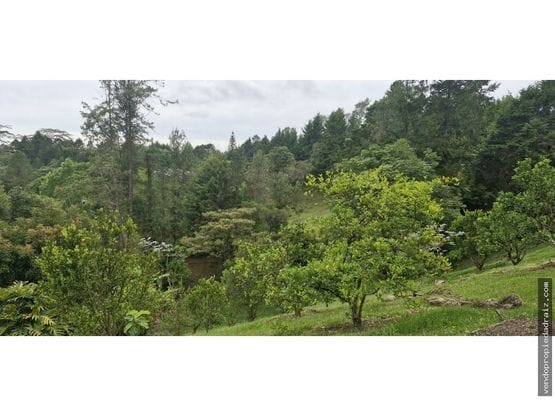 Finca en venta en Llano Grande, Rionegro, 200 m² · foto 15 de 18