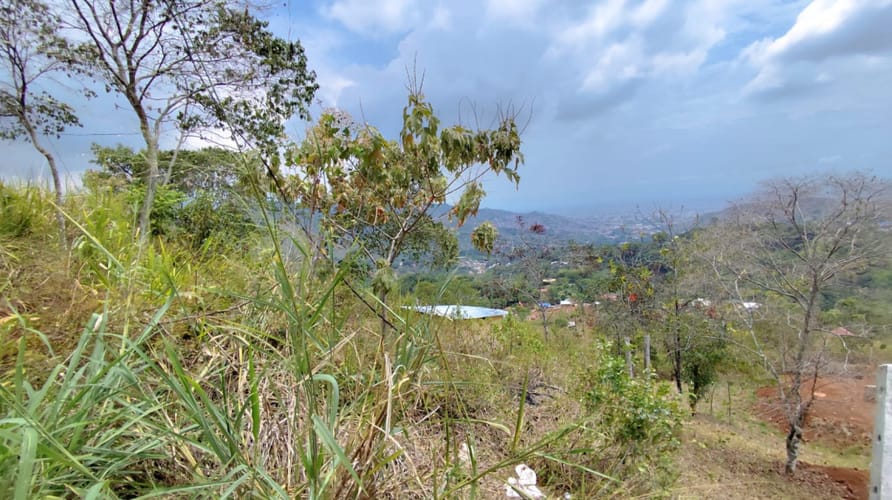 Lote en venta en La Reforma, Cali, 3000 m² · foto 5 de 8