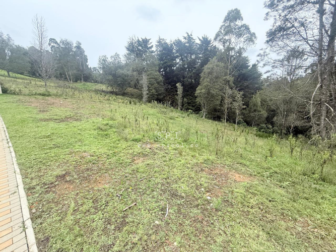 Lote en venta en Las Palmas, Envigado, 2575 m² · foto 2 de 14