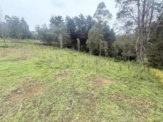 Lote en venta en Las Palmas, Envigado, 2575 m² · foto 4 de 14