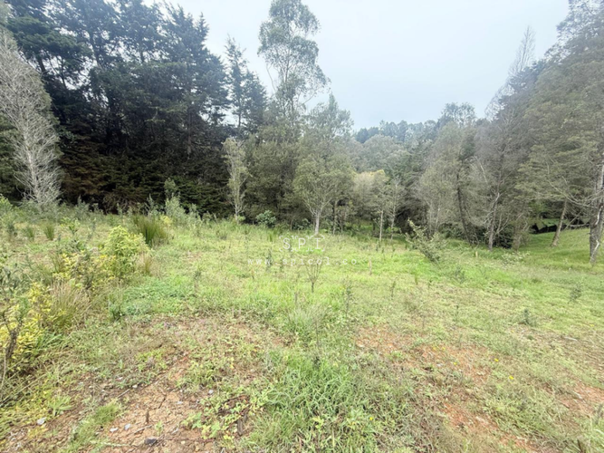 Lote en venta en Las Palmas, Envigado, 2575 m² · foto 5 de 14