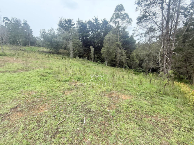 Lote en venta en Las Palmas, Envigado, 2575 m² · foto 6 de 14