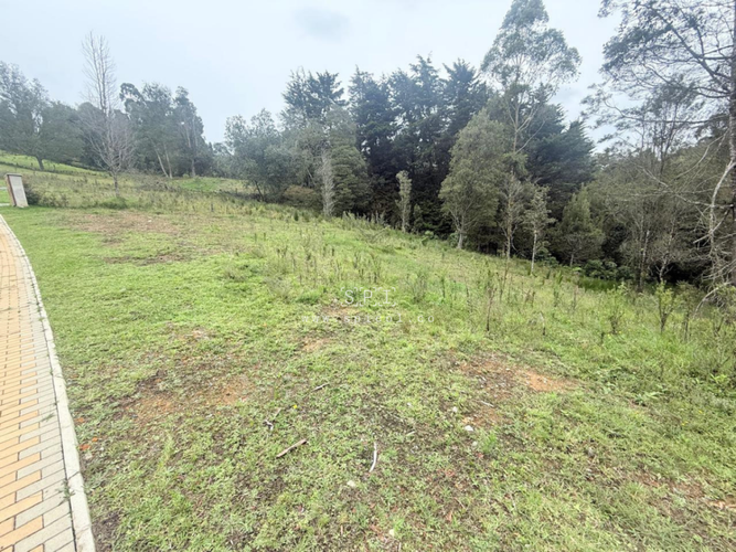 Lote en venta en Las Palmas, Envigado, 2575 m² · foto 7 de 14