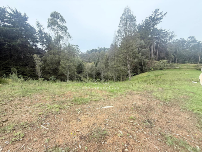 Lote en venta en Las Palmas, Envigado, 2575 m² · foto 9 de 14
