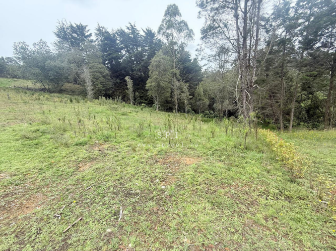 Lote en venta en Las Palmas, Envigado, 2575 m² · foto 11 de 14